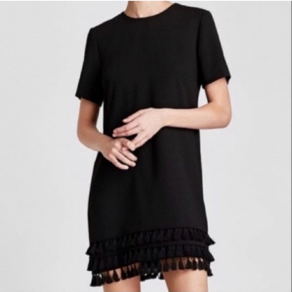Zara Fringe Hem Dress